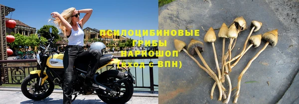 не бодяженный Арсеньев