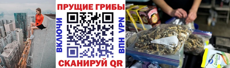 Галлюциногенные грибы Cubensis Аркадак